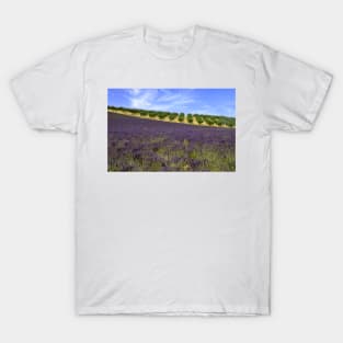 Lavander in Provence T-Shirt